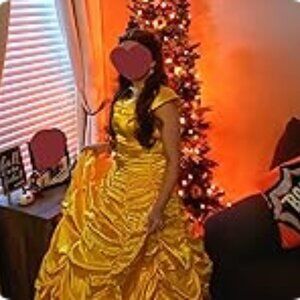 Princess Belle Beauty and the Beast Costume Dress